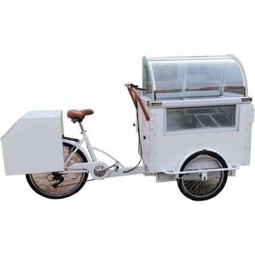 350w Portable Ice Cream Carts Bicycle Street Vending Cart Cargo Bike Tricycle Electric Trike for Adults