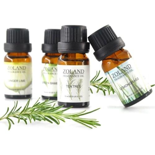 Water-Soluble Dropper Essential Oil for Car, Humidifier and Aromatherapy Machine Exquisite And Practical Furniture