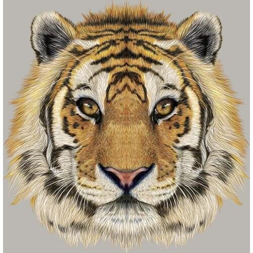 Funny Tiger Pattern Clothing Badges Patches Heat Transfer Fashion Diy Tops Vinyl Appliqued Iron On Transferwashable