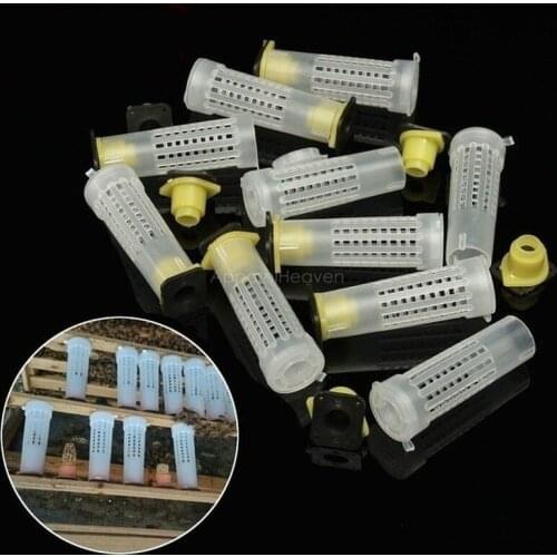 10PCS Beekeeping Bee Plastic Queen Rearing Cage Cup Box Protection Cover Catcher Protective Base Bees Tools Supplies Equipment