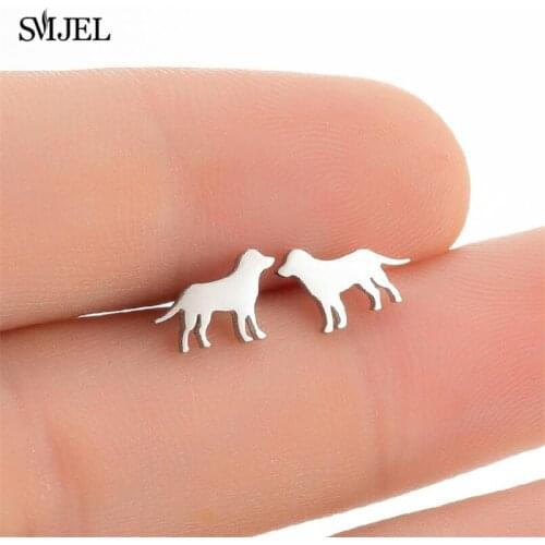 Stainless Steel Heart-Shaped Pet Earrings Cute Dog Paw Chihuahua Collie Stud Earrings Women Party Accessories Dog Studs Jewelry