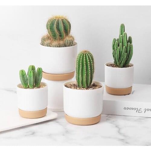 Succulent Plant Pot Six-sided Ceramic Pot Succulent Flowerpot Set With Bamboo Support For Desktop