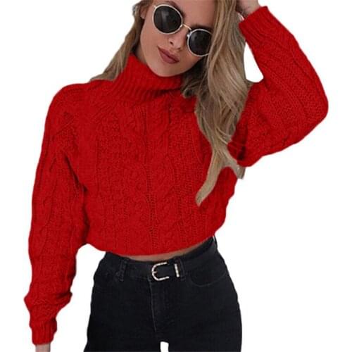 Thick Slim Long Sleeve Knit Sweaters Twist Turtleneck Sweater For Women Autumn Winter Warm Women Pullovers New Casual Sexy