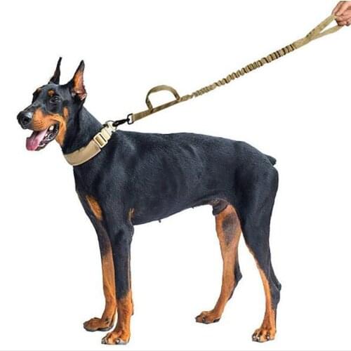 Medium Large Dogs German Shepherd Army Tactical Dog Leash Nylon Bungee Leashes Pet Military Lead Belt Training Running Leash