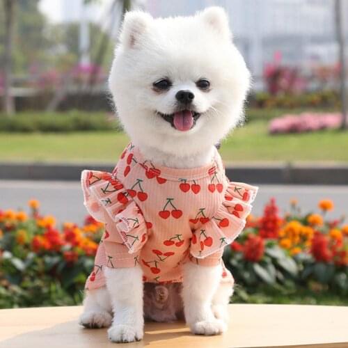 Dog Costume Cherry Printing Pattern Round Neck Polyester Skin-friendly Cloth Blouse Dog Dresses Summer 2021 одежда для собак