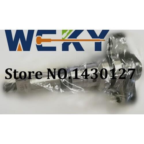 Best Quality 2418455165 Plunger 2 418 455 165 Plunger Element 2455165 PW Type Plunger 2455-165