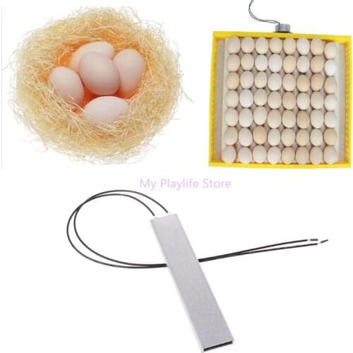 Heating Incubator Heater For Egg Incubator Accessories Heating Element Plate for incubator 12V C42