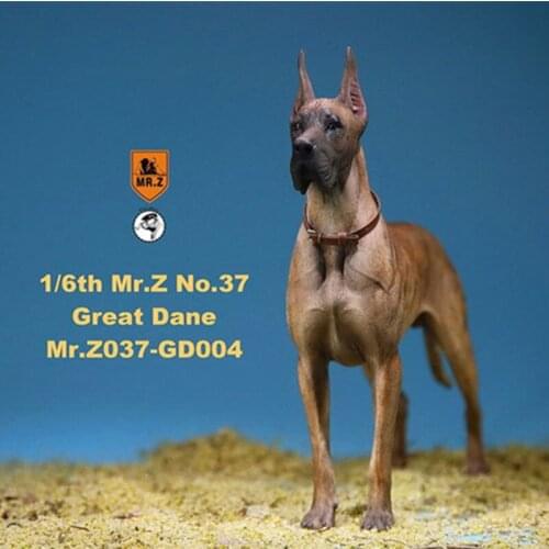 1/6 scale Mr.Z 037-GD resin PVC miniature animal model Great Dane pet model suitable for collection and decoration
