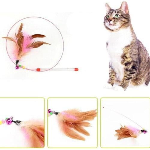 Feather Rod Play Pet Wand Teasing With Colored Beadsfunny Feather Spring Kitten Creative Cat Toy Dog Exercise Training Rod