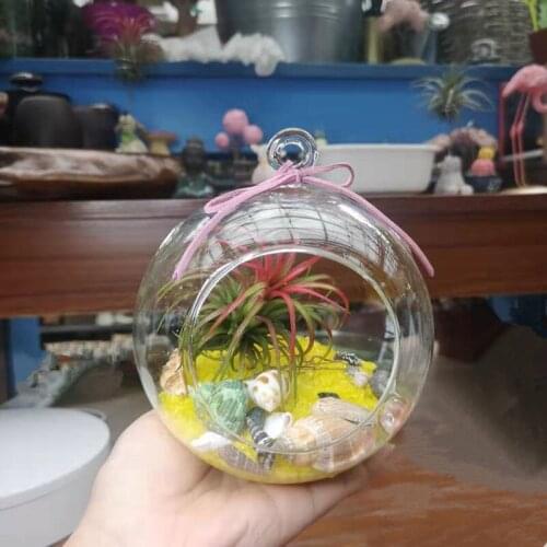 Free Shipping Diameter=12cm 4pcs/pack Wedding Decoration Hanging Glass Terrarium Vase Home Decorative Hanging Glass Terrarium