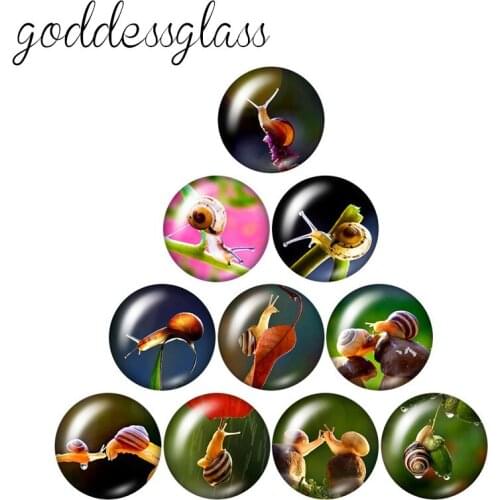 Animals snails Cow camel rhinoceros 10pcs mixed 12mm/18mm/20mm/25mm Round photo glass cabochon demo flat back Making findings