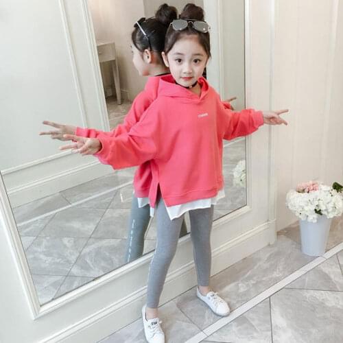 Toddler Girls Clothes Sets Spring Autumn Kids Clothes Sets Children Clothing Girls Tracksuit 2pcs Outfit For Girls Sport Suit