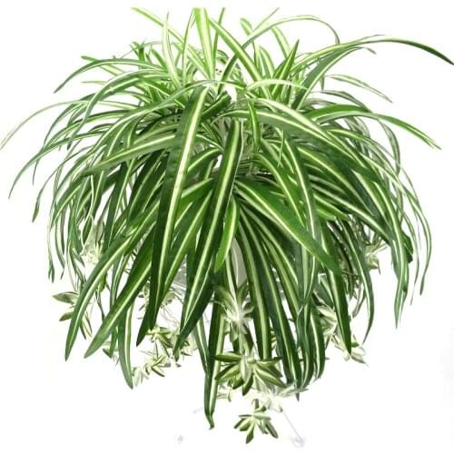 65cm Artificial flowers plants Wall Hanging Chlorophytum potted green plants PVC Fake Simulation flower living room decor
