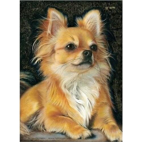 Painting Dog Chihuahua Metal Sign Home Decor