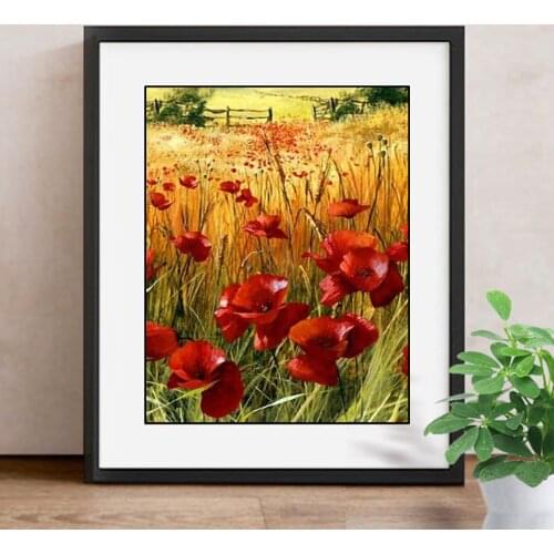 5D DIY Diamond Embroidery Flower Full Display Diamond Painting Cross Stitch Picture Of Rhinestones Home Decor Gift