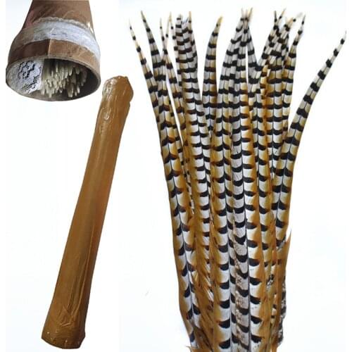 50pcs/lot 10-180cm Wholesale crafts Reeves Pheasant Feathers Plume extensions Party Wedding Christmas Decoration Home DIY Plumas