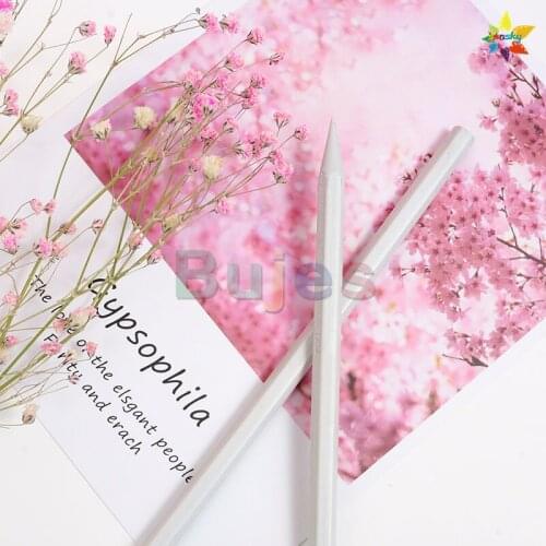 Swiss CARAN D'ACHE Colorless Blender Pencil 2PC pencil per Pack non wood Blender Pencil Artist Oily Gradient pastel Pencil 2B