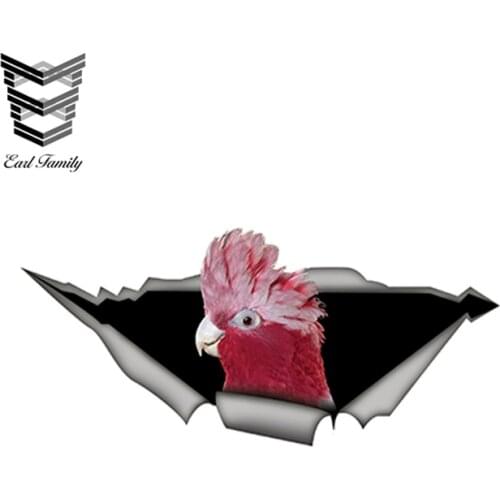 EARLFAMILY 15cm x 6cm Galah Cockatoo Car Sticker Funny Parrot Decal Waterproof Car Styling Bird Stickers Decoration