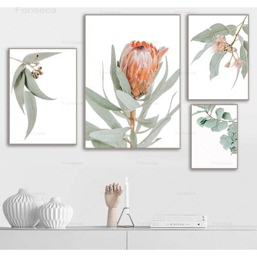 Australia Plants Leaf King Protea Flowers Wall Art Pictures Canvas Paintings Posters and Prints for Living Room Home Decorative