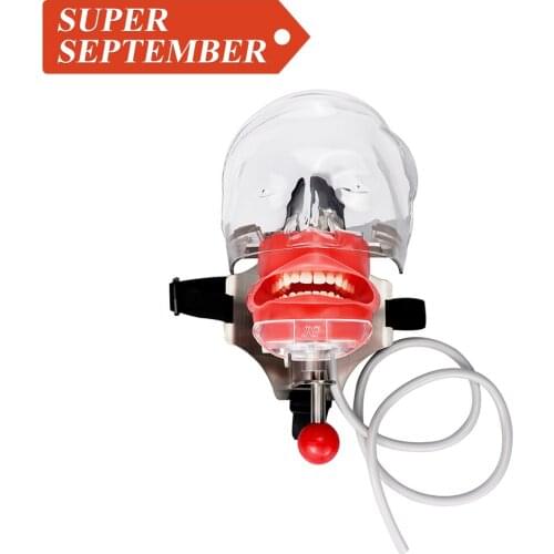 Simple Head Model Dental Simulator Phantom Head for Dentist Education Dentist Teaching /Head Model Phantom for Training Apparatu