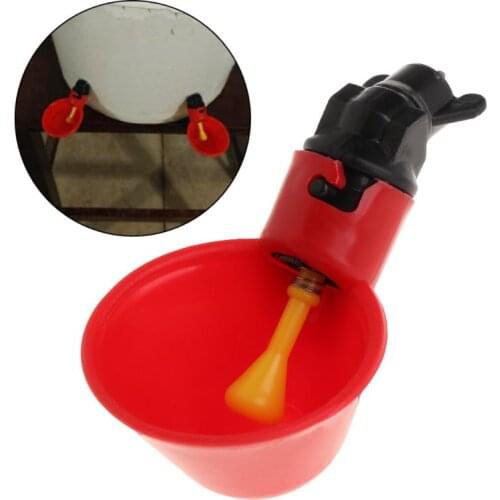 Automatic Chicken Waterer Parrot Drinking Bowl Water Feeder Poultry Drinking Cup For Birds