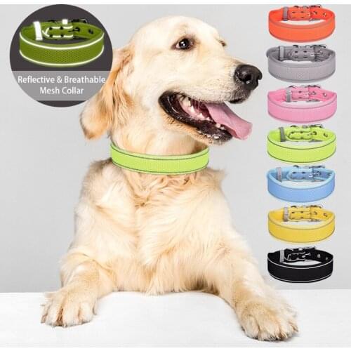 AESOPET Collars