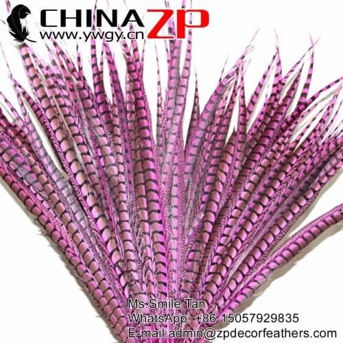 CHINAZP Feather of Binche Carnival Showing 100 pcs/lot Fuchsia Dyed Long Lady Amherst Pheasant Tail Feathers Hackle Feather Trim