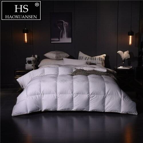 HS HS Filling Power 800 Goose Down Duvet thick Warm Blanket Quilt Comforter Bedding Filler French Bread Shape White