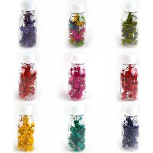 DF001 Real Ammi Majus Dry Plants Dried Flowers Wholesale For Aromatherapy Candle Epoxy Resin Pendant Necklace Jewelry