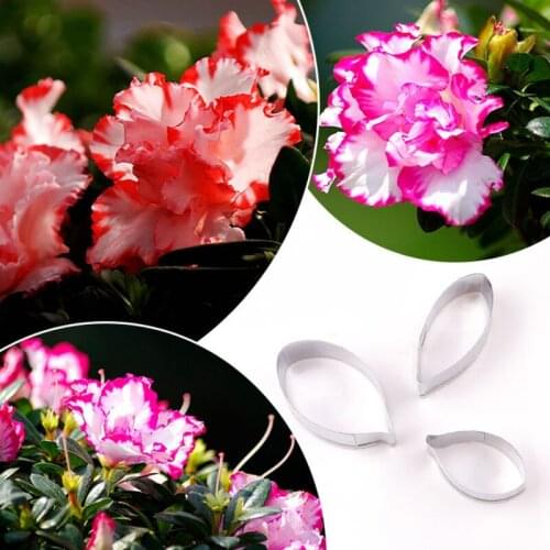Rhododendron Leaves 3Pc Stainless Stell Cookie Cutter Pastry & Biscuit Baking Cutter Cake Decorating Tools Cupcake Mold Tools