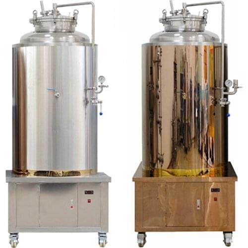 Stainless Steel Beer Fermenter 50l Brewery Machinery Craft Beer Brewing Equipmente
