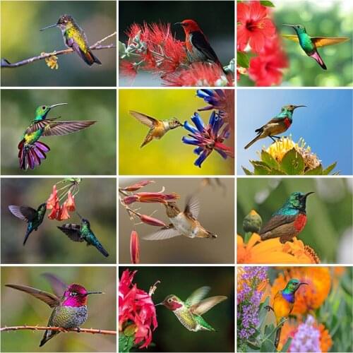 5D Diamond Painting Animal Hummingbird Cross Stitch Full Square Round Drill Bird Picture of Rhinestone Handmade Gift Home Decor