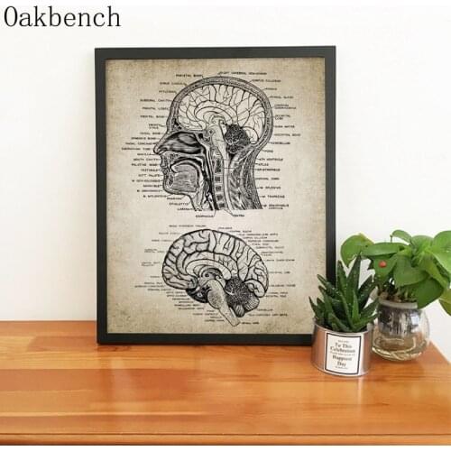 Human Head And Brain Anatomy Patent Poster Vintage Print Neuroscience Human Anatomy Wall Pictures Doctors Office Home Decor