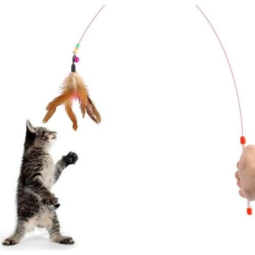 Pet cat toy Cute Design Steel Wire Feather Teaser Wand Plastic Toy for cats Color Multi Products For pet New Arrival