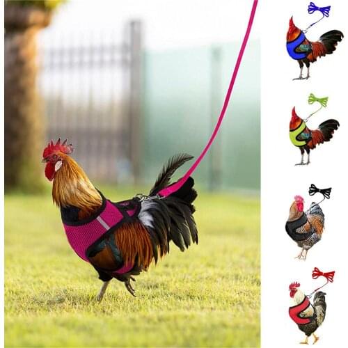 Casual 1 Set Wearable Outdoor Chicken Vest Harness Unisex Poultry Leash Mesh Design for Goose