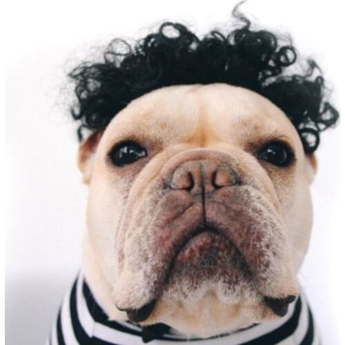 Funny Hair Headgear Simulation Wig For dog cat small pet Clown Halloween Costume Afro Wig Braid Pets Supplies