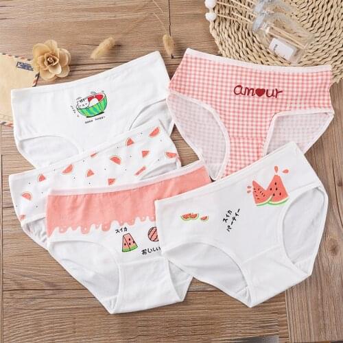 8-14 Yrs Kids Girls Cotton Briefs Children Underwear Panties Girls Lovely Printing Underpants 5PCS/LOT