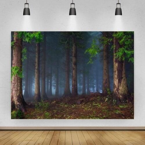 Secluded Path In Foggy Forest with Big Trees Portrait Photo Background Photographic Vinyl Backdrop Photocall Studio Booth Props