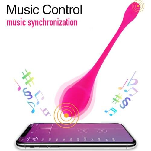 Wireless APP Remote Control Vibrator Bluetooth Dildo Vibrator for Women Remote Control Dolphin Bullet Vibrator Couple Sex Toys