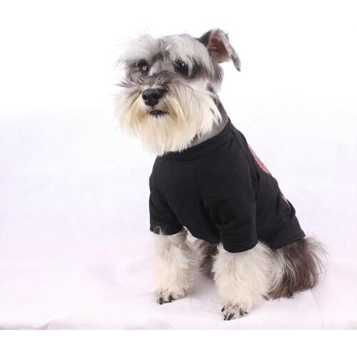 Summer Tshirt for Bichon Frise Costume Chihuahua Sweater Pug Apparel PC1027