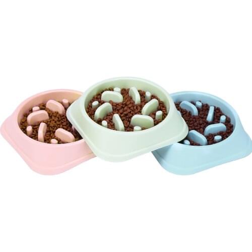2021 New Pet Dog Bowl Slow Feeder Plastic Anti Choking Puppy Cat Eating Dish Bowl Anti-Gulping Food Plate