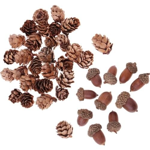 40Pcs Dried Pine Cones Acorns Floral Art Craft DIY Christmas Home Party Decor