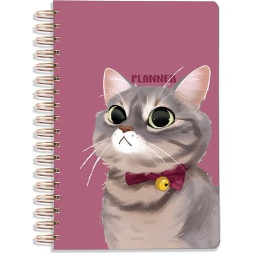 Caelia Diaries And Notebooks