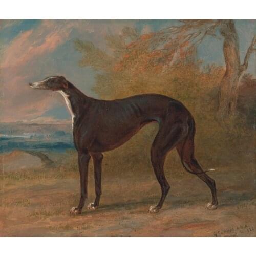 TOP Original art - GREYHOUND DOG the Black and White Greyhound oil painting on canvas # animal Decor accept custom painting