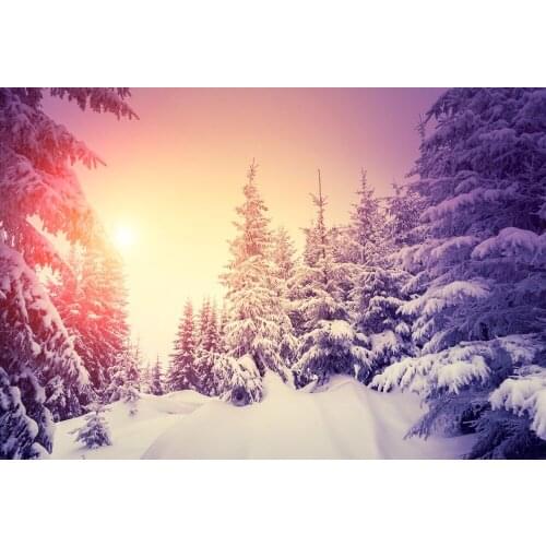 VinylBDS Winter Snow Photography Backdrops Ice Trees Blue Sky Backgrounds For Photo Studio Sunset Microfiber Backdarops