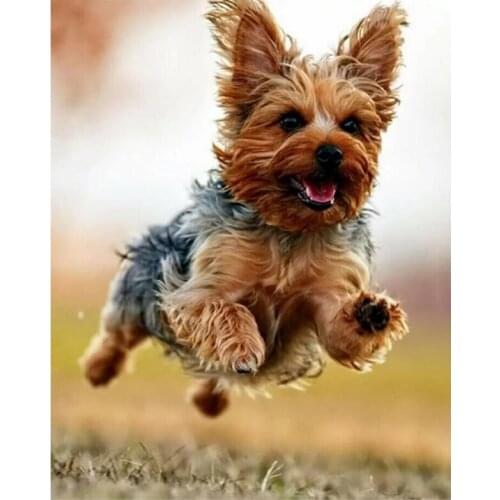 Terrier dog art portraits diamond mazayka diamond painting dog dimond painting full square drill embroidery kit