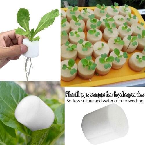 Planting Basket Sponge 100pcs/set Hydroponic Gardening Plant Cultivation Vegetable Cultivation Cylindrical Sponge Pot Basket