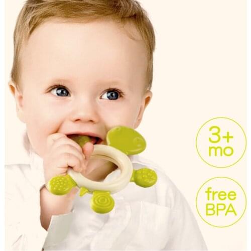 Wheat&Turtle Toys And Goods For Creativity