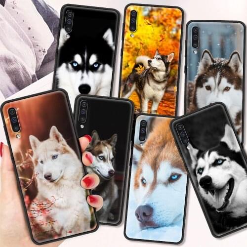 Siberian Husky Shockproof Case For Samsung A12 A32 A52 A71 A50 A51 A70 Cases Black Cover For Samusng A10 A20S A30 Shell Fundas