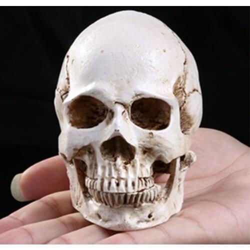 Mini Skull Model Figurine Personality Decoration Miniature Creative Resin Decoration Home Decoration Crafts